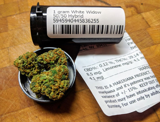 1 gram medicinale white widow wiet kost ongeveer 10 euro. 1 gram medicinale white widow wiet kost ongeveer 10 euro.