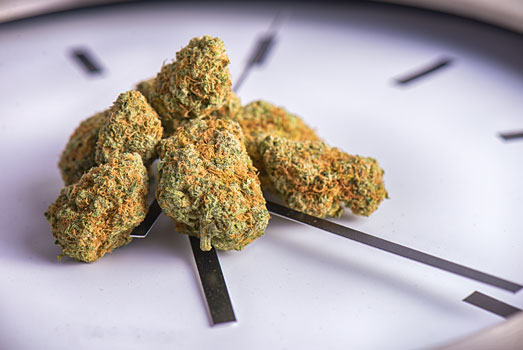 4:20 uur, tijd voor cannabis 4:20 uur, tijd voor cannabis