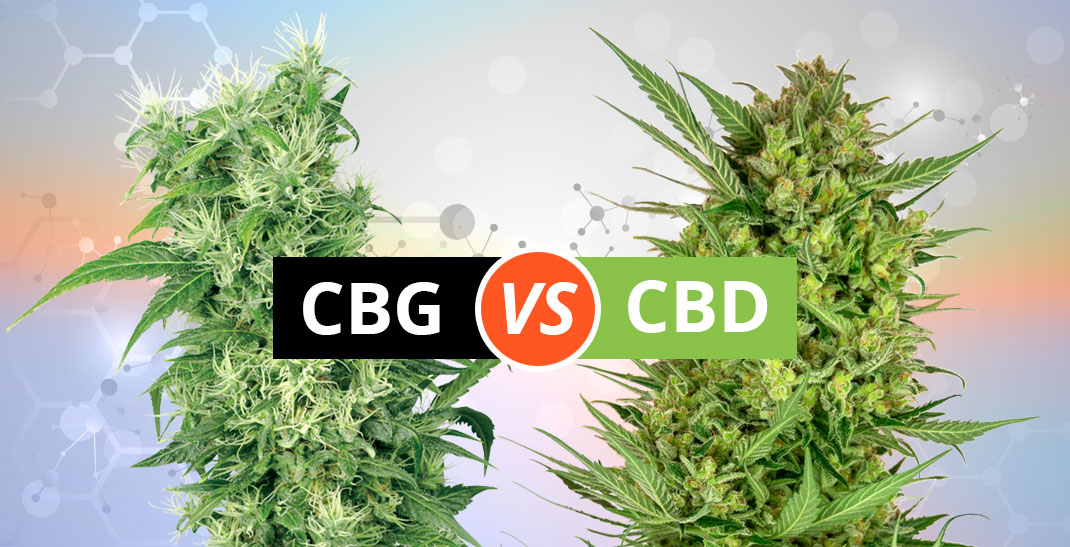 4 min. CBG versus CBD: ontdek de verschillen