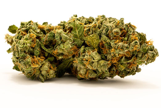 Nummer 1. AkGun CBD – Huismerk Wietzaadjes.nl Nummer 1. AkGun CBD – Huismerk Wietzaadjes.nl