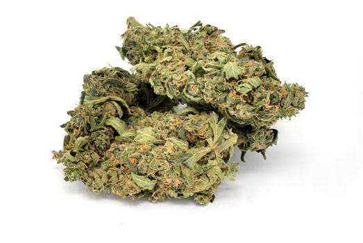 Nummer 10. Yummy – CBD Crew Nummer 10. Yummy – CBD Crew