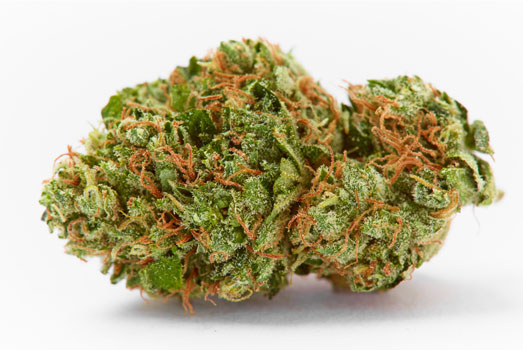 Nummer 2. Arjan’s Haze #3 – Green House Seeds Nummer 2. Arjan’s Haze #3 – Green House Seeds