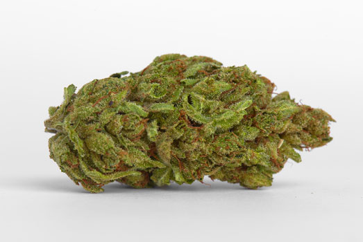 Nummer 5. Cannabis Light – Ministry of Cannabis Nummer 5. Cannabis Light – Ministry of Cannabis