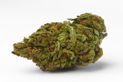 Nummer 6. Euphoria – Royal Queen Seeds Nummer 6. Euphoria – Royal Queen Seeds