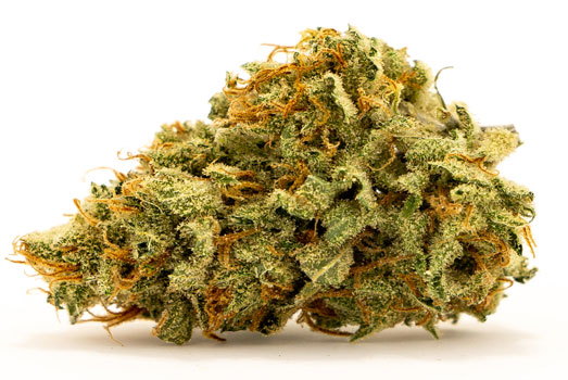 Nummer 7. Honey Bells – Delicious Seeds Nummer 7. Honey Bells – Delicious Seeds