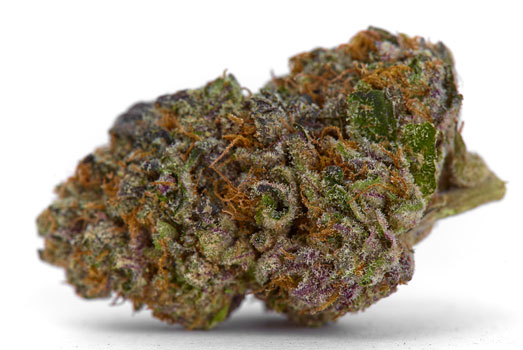Nummer 8. Sweet Purple – Paradise Seeds Nummer 8. Sweet Purple – Paradise Seeds