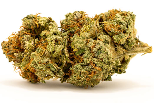 Nummer 9. CBD Oil Maker – PowerStrains Nummer 9. CBD Oil Maker – PowerStrains