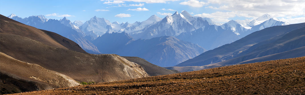 Hindu Kush komt van oorsprong uit het Hindoekoesj gebergte. Hindu Kush komt van oorsprong uit het Hindoekoesj gebergte.