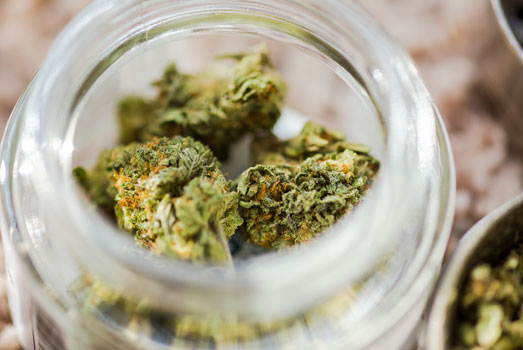 Hindu Kush weed. Hindu Kush weed.