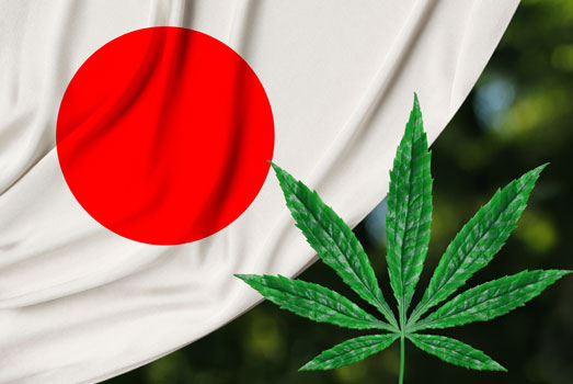 In Japan is wiet met 26-30 euro per gram het duurst. In Japan is wiet met 26-30 euro per gram het duurst.