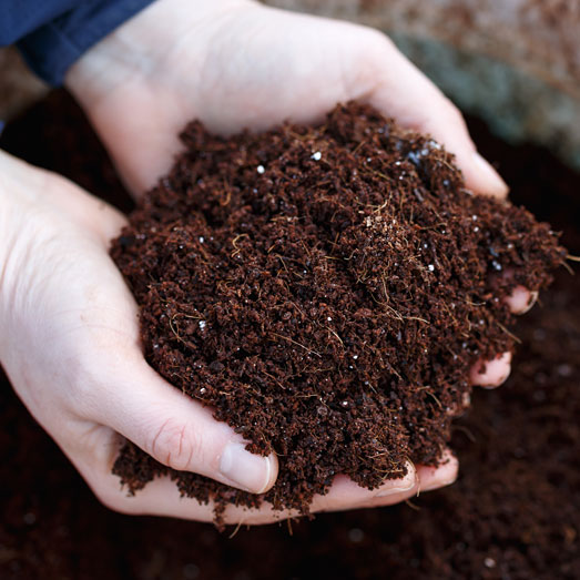 Kies de juiste grond voor je autoflowering wietplant. Kies de juiste grond voor je autoflowering wietplant.