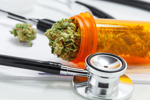 Bubblegum is zeer geschikt voor medicinale gebruikers van cannabis. Bubblegum is zeer geschikt voor medicinale gebruikers van cannabis.