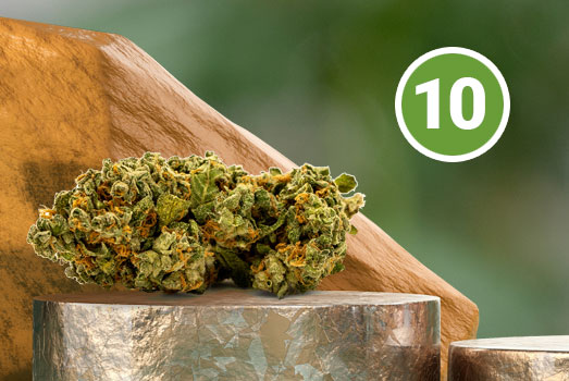 Nummer 10. Jack Herer wiet Nummer 10. Jack Herer wiet