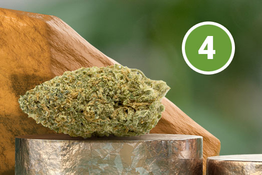 Nummer 4. Gorilla Glue wiet Nummer 4. Gorilla Glue wiet