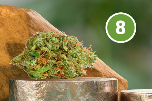 Nummer 8. Critical Mass wiet Nummer 8. Critical Mass wiet