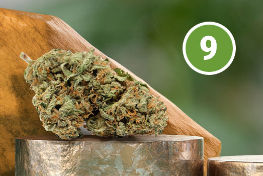 Nummer 9. Girl Scout Cookies wiet Nummer 9. Girl Scout Cookies wiet