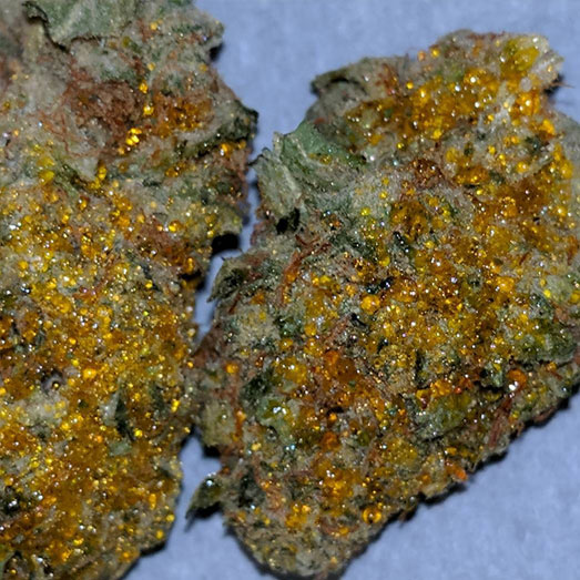 Sunrocks zijn nóg krachtiger dan Moonrocks. Sunrocks zijn nóg krachtiger dan Moonrocks.