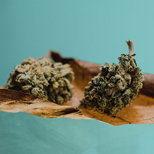 Een blunt is een met wiet of hasj gevuld tabaksblad. Een blunt is een met wiet of hasj gevuld tabaksblad.