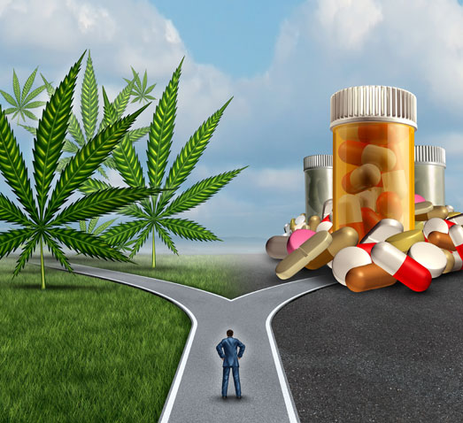 Wiet is laagdrempelig dan pijnstillende opiaten. Wiet is laagdrempelig dan pijnstillende opiaten.