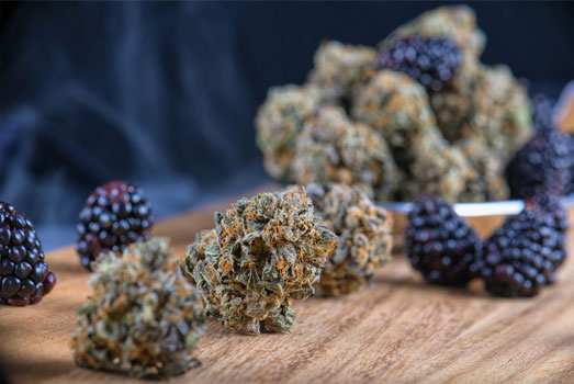 Ontdek de zoete fruitige aroma’s van de wiet. Ontdek de zoete fruitige aroma’s van de wiet.