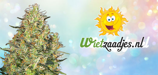 Zkittlez van het huismerk van Wietzaadjes.nl. Zkittlez van het huismerk van Wietzaadjes.nl.