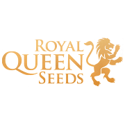 Royal Queen Seeds