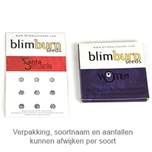 Mamba Negra CBD - Blimburn Seeds verpakking