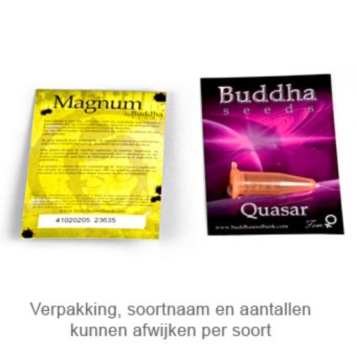 Red Dwarf - Buddha Seeds verpakking
