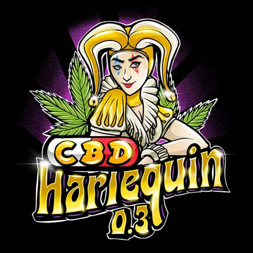 CBD Harlequin 0.3/18% - Sumo Seeds