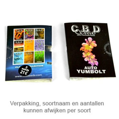AK - CBD Seeds verpakking