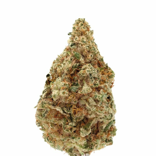 Charlotte's Dream CBD - Growers Choice Top