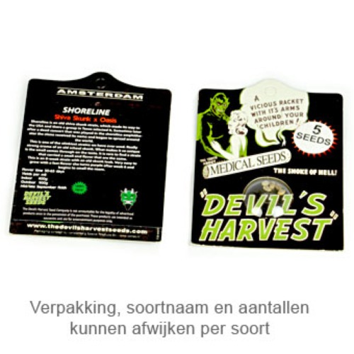 Rollex OG Kush - Devils Harvest verpakking