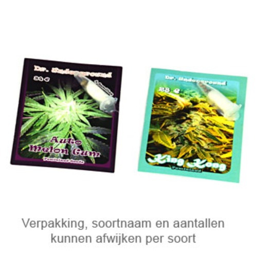 Brooklyn Mango - Dr Underground verpakking
