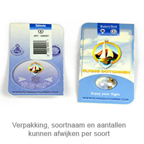 Dutch Delight - Flying Dutchmen verpakking