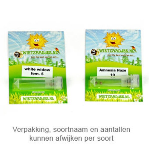 AK Auto - Huismerk Wietzaadjes.nl foto van de autoflower verpakking