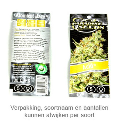 Allkush - Paradise Seeds verpakking