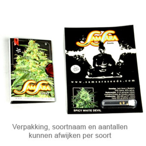 Sweet Black Angel - Samsara Seeds verpakking