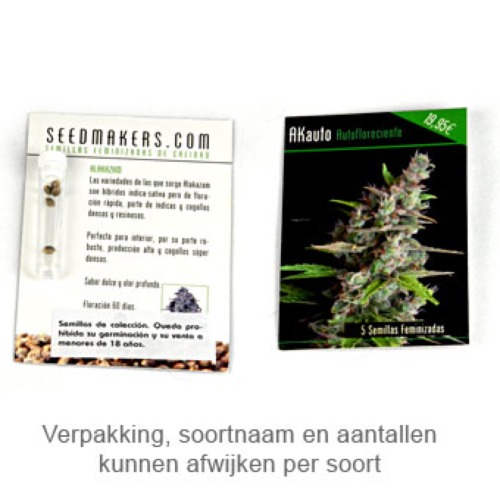 Auto Critical - Seedmakers Seeds verpakking