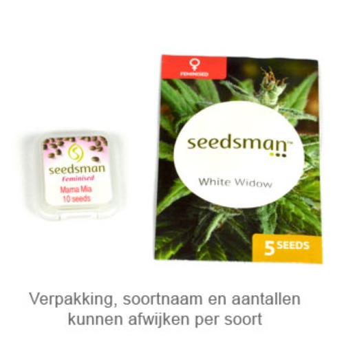 Auto Mini Gun - Seedsman verpakking