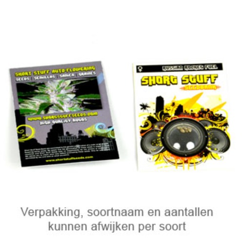 Auto Spanish Diesel verpakking
