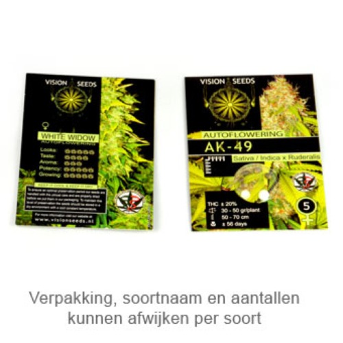 Northern Lights Auto - Vision Seeds verpakking