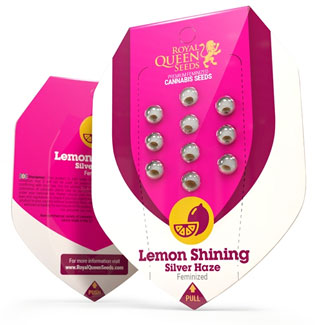 Verpakking van de Lemon Shining Silver Haze van Royal Queen Seeds Verpakking van de Lemon Shining Silver Haze van Royal Queen Seedst