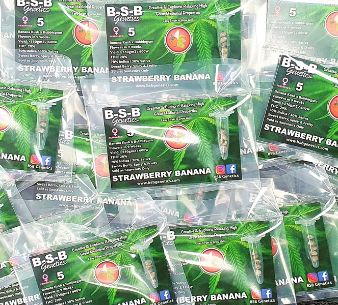 Verpakking BSB Genetics wietzaden. erpakking BSB Genetics wietzaden.