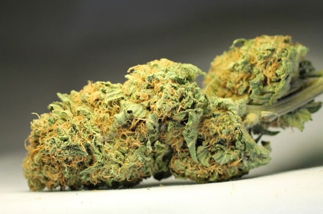 Big Buddha Cheese wiet. Big Buddha Cheese wiet
