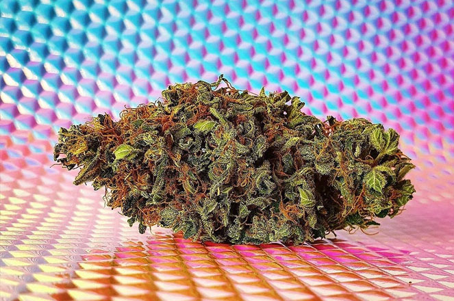 Wiettopje van de Blue Dream x Sunset Sherbet. Wiettopje van de Blue Dream x Sunset Sherbet.