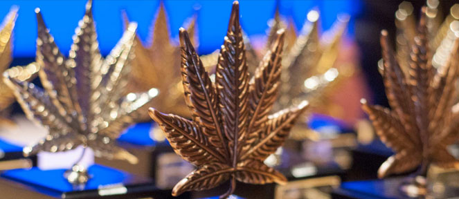 Cannabis Cups - Spannabis Champions cup. Cannabis Cups - Spannabis Champions cup.