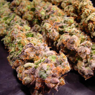 Durga Mata CBD medicinale wiet Durga Mata CBD medicinale wiet