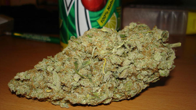 Ice Cream mega cannabis bud Ice Cream mega cannabis bud