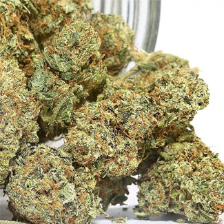 AMG - Amnesia Mac Ganja AMG - Amnesia Mac Ganja