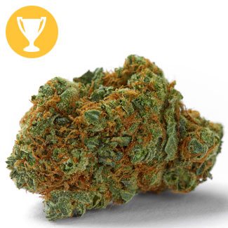 Master Kush wiet Master Kush wiet